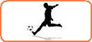 Accedi alla sezione Calcio